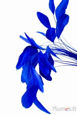 Coquetips - 13-18 cm - blau